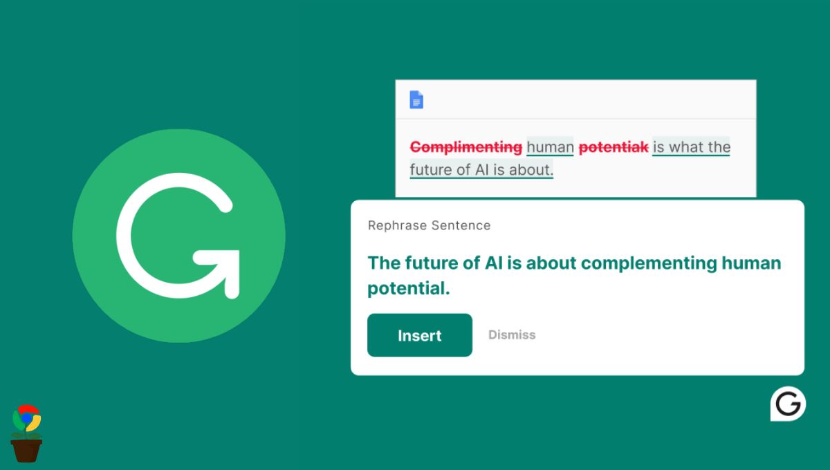 Grammarly Chrome extension